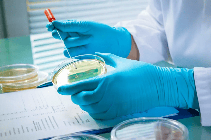 Silent Signals: Understanding Stomach Cancer Before It’s Too Late
