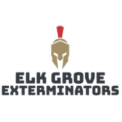 Elk Grove Exterminators