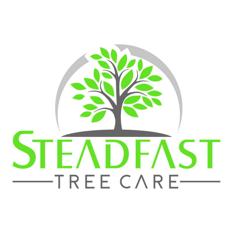 Steadfast Tree Care Fredericksburg