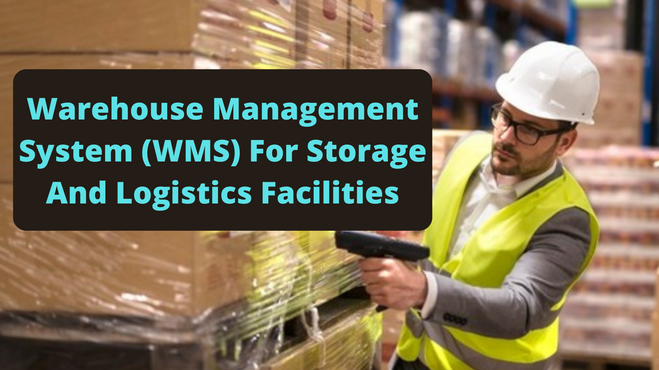 Warehouse Inventory Management Software