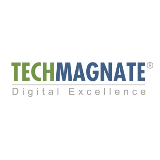 Techmagnate Indian SEO Agency