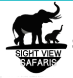 Sight View Safari
