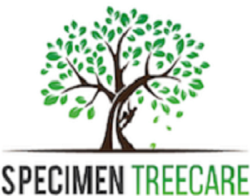Specimen Treecare Ltd
