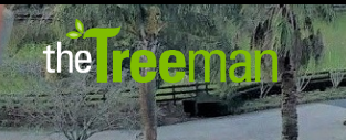 The Treeman Ltd