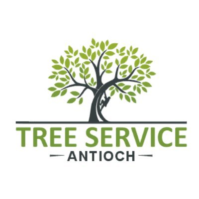 Tree Service Antioch
