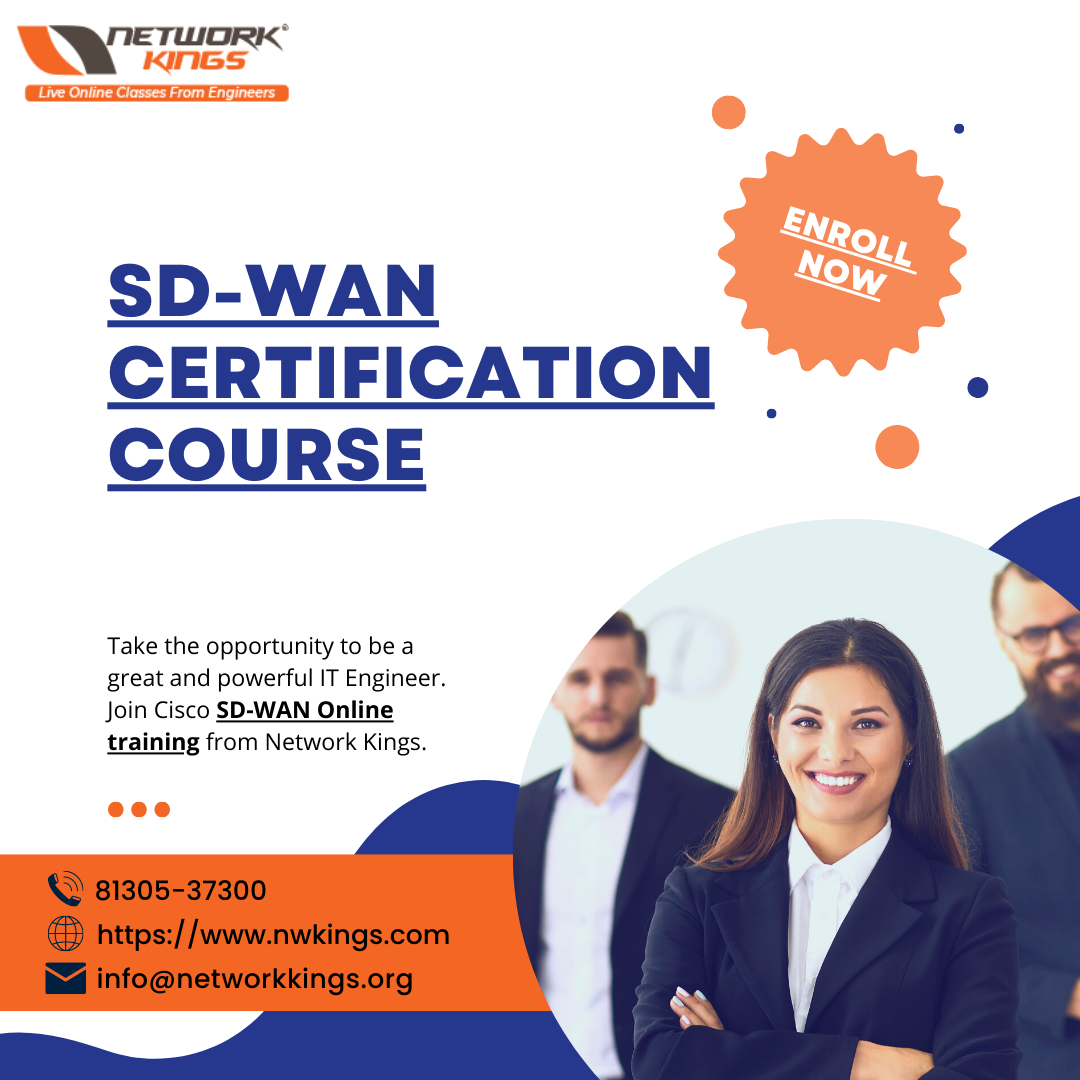 Best SD-WAN Training Provided by Network Kings