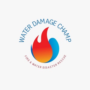 Water Damage Champ