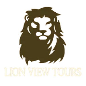 Lion View Tours