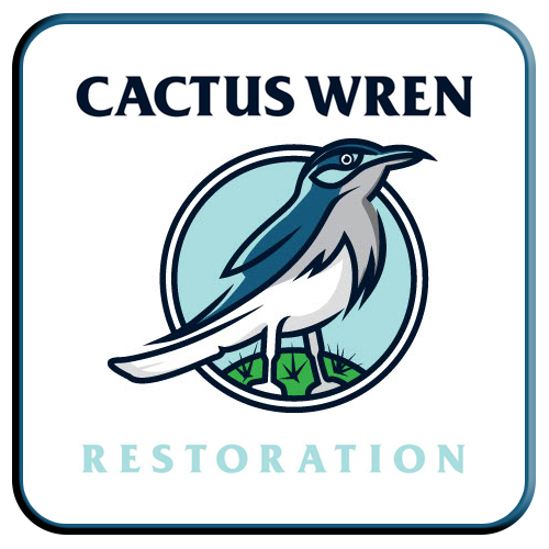 Cactus Wren Restoration