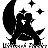 Wolfpack Poodles and Bernedoodles