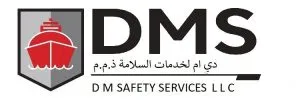DM Safety