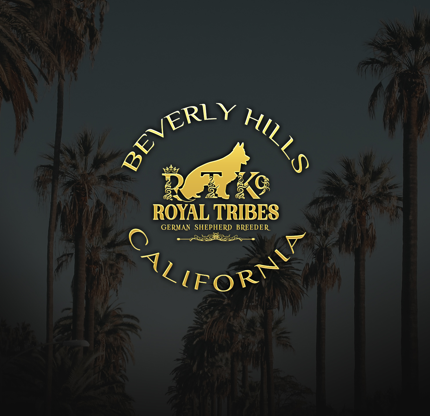 Royal Tribes K9 | German Shepherd Breeder | Beverly Hills Ca