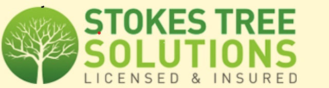 Stokes Tree Solutions