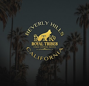 Royal Tribes K9 | German Shepherd Breeder | Beverly Hills Ca