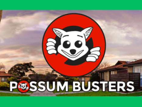 Possum Busters - Possum Removal - Narraweena