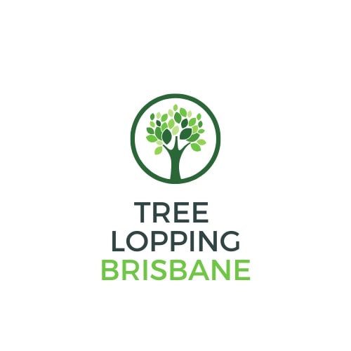 Brisbane Tree Care