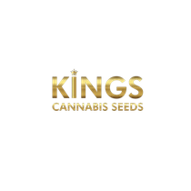 Kings Seedbank