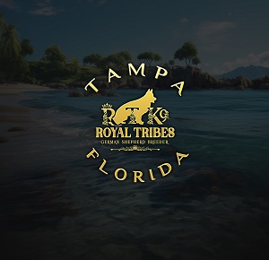 Royal Tribes K9 | German Shepherd Breeder | Tampa, Florida