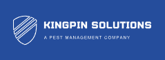 Kingpin Solutions Pte Ltd