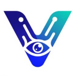 Viston AI Enterprise AI Solutions Consulting