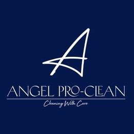 Angel Pro Clean Inc