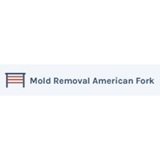 Mold Removal American Fork